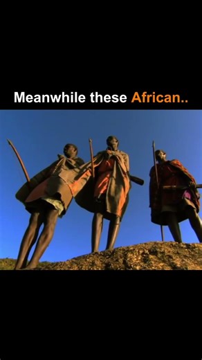 Human v/s lions #youtube #shorts #viral