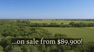 601K views · 378 reactions | LAND SALE: going on RIGHT NOW! 2 to 40+ acres from $89,900. Woods • Water • Wildlife, in a prime location near Columbus, TX. Call (866) 952-6380 or click to ask questions online. | Lone Star Land Partners | Facebook