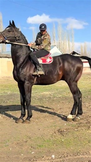 26 марта 2026 г.