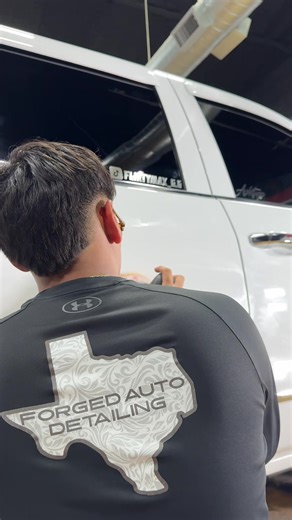 Client Excels at FP 5.0 Auto Detailing