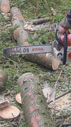 Stihl MS261c: Powerful Chainsaw Performance