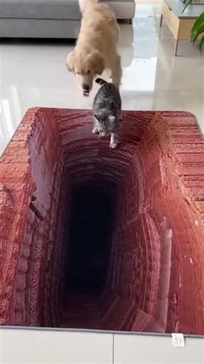 This 3D rug totally broke my cat and dog! 🤯 (AI) | Crafty Panda