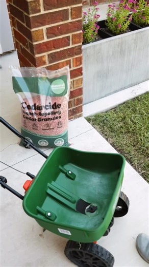 3 comments | Our Cedar Granules also repel fleas, mosquitoes, and mites, including chiggers. They’re 100% natural, eco-friendly and biodegradable. Combine with Outdoor Bug Control lawn spray for best results. Shop our Bug-Free Lawn Kit, which includes both the Granules and Outdoor Bug Control bundled at a discount. Link in bio. | Cedarcide | Facebook