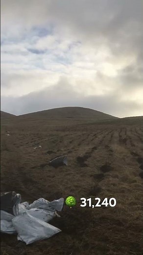 Tree planting forestry work nature moving art mountains Galloway forest Scotland