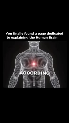🧠 The Human Brain is the most complex biological system in the known universe—an advanced neural network weighing ~1.3–1.4 kg that functions as the control center of the human body. This powerful organ regulates vital life functions, processes sensory input, controls movement, and drives cognition, memory, emotion, language, decision-making, and consciousness. Despite centuries of neuroscience research, brain science continues to reveal new discoveries about neural pathways, synapses, brain pla