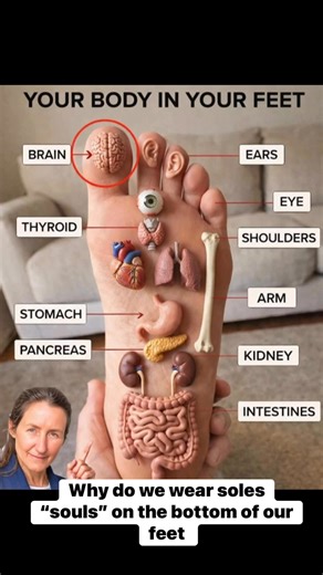 Why do we wear soles “souls” on the bottom of our feet if they hold so many healing properties? | SuSanity Life