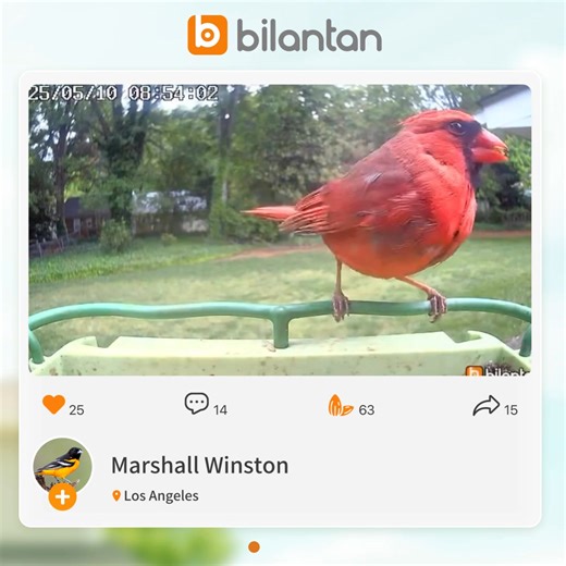 ⚡ Don’t miss out — Bilantan’s Black Friday Sale is LIVE! Enjoy up to 50% OFF and watch your backyard come alive 🐦 🌸 2-in-1 design — perfect for hummingbirds and all your backyard birds 🎥 Capture every flutter in stunning 2.5K video 🤖 AI-powered bird ID with lifetime access 🔋 Solar-powered for nonstop birdwatching Bring nature closer to home and join thousands of happy bird watchers today. ⏰ Limited stock available — grab yours before this deal flies away! | Bilantan