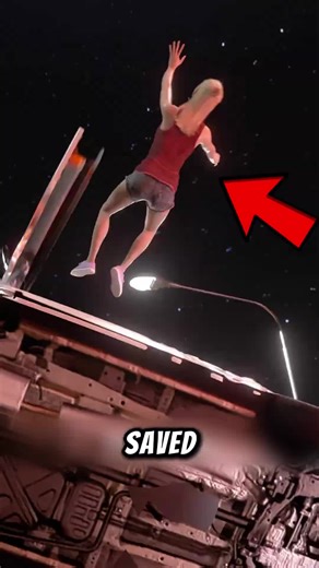 Did You Know Why (@did.you.now.why)’s videos with original sound - Did You Know Why