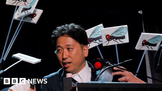 Ig Nobel prize 2025: Zebra cows and Teflon food among winners