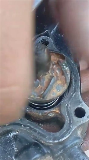 Engine oil pump gear installation #incujin