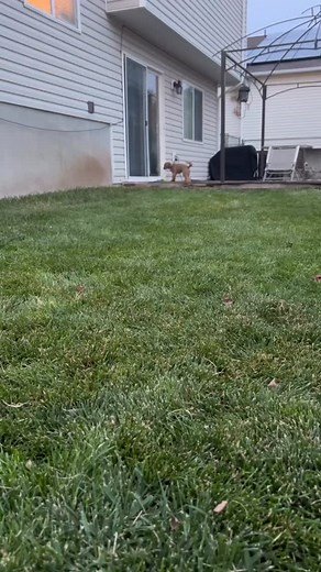 63 shares | Coco the Cavapoo had the best time during her stay!  Her new best friend Bailey kept her busy with playtime, cuddles, and plenty of tail wags. These two were inseparable!  #SnugglesAndSnoozesPetRetreat #CavapooLove #DogBoardingFun #FurryFriends #DogBesties #HappyPups #PetRetreatLife #CocoAndBailey #DogPlaytime #UtahPets #RoyUtahPets #InHomePetCare #PetLovers #CavapooCutie #DogBoardingDoneRight | Snuggles and Snoozes Pet Retreat | Facebook