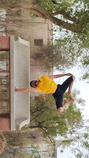 Beautiful One Arm Handstand 🤸‍♂️ #shorts #handstandhold #onearmhandstand #handstandpress