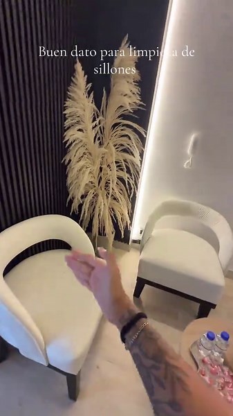 Amamos todos los servicios de @Salux 💞 #limpieza #sillones #fyp