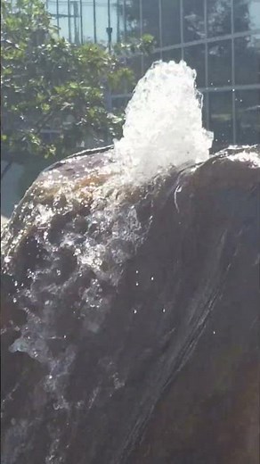 Relaxing Backyard Oasis | Beautiful Water Feature Inspiration