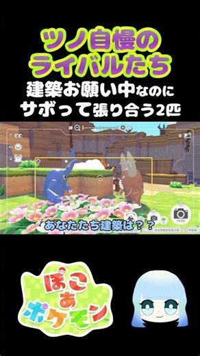 【ぽこ あ ポケモン】ツノ自慢のライバルたち 建築お願い中なのにサボって張り合う2匹 #ゲーム #ゲーム実況 #ポケモン #ぽこあポケモン