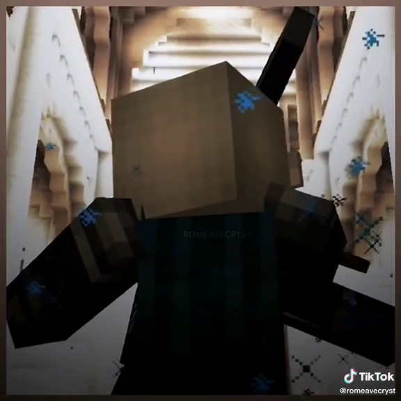Zane Ro'meave Minecraft Diaries Shadow Knight Confrontation