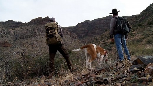The Fair Chase: Arizona Mountain Lion | MeatEater Season 2
