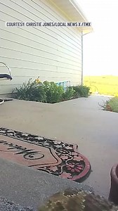 15K views · 185 reactions | Absolutely not!  A FedEx driver killed a rattlesnake that was at a customer's front door, video shows. The driver apologized to the customer, saying "sorry about the blood."  https://on.nbcdfw.com/iZ71ZiZ | NBC DFW | Facebook