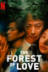 Stream The Forest of Love (2019): Find it on Netflix, Prime Video, Hulu & more