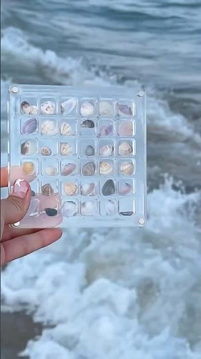 😍🐚Cute Idea to Collect your Shells🪸Summer Beach Idea🌊 #diy #shells #summer #beach #crafts