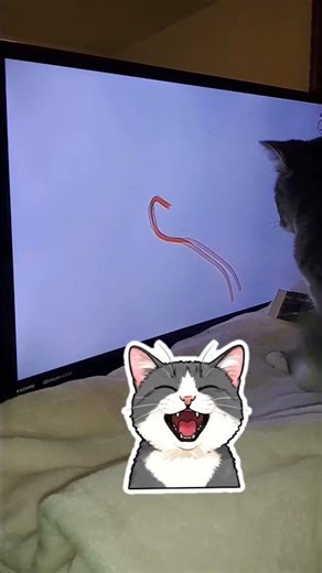 My CAT on her STRING GAME !😭😭😭😭🐾🐾🐾🐾 #DreamTrackAI