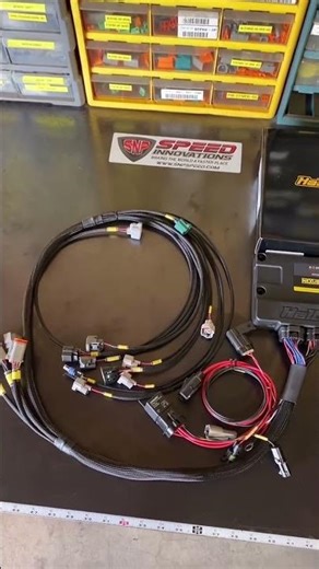 SNP Toyota 2.4L 2RZ and 2.7L Haltech Nexus S2 Complete Harness Kit!