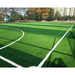 [Hot Item] Professional Soccer Field Synthetic Lawn Football Artificial Turf Grass