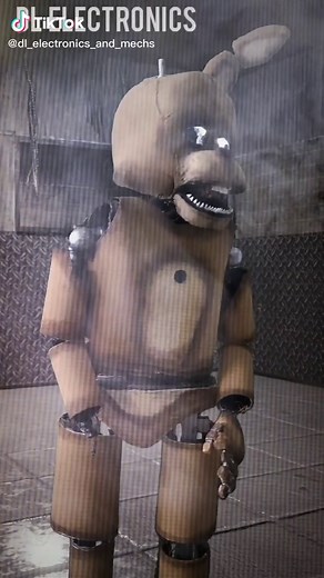 DL electronics on TikTok