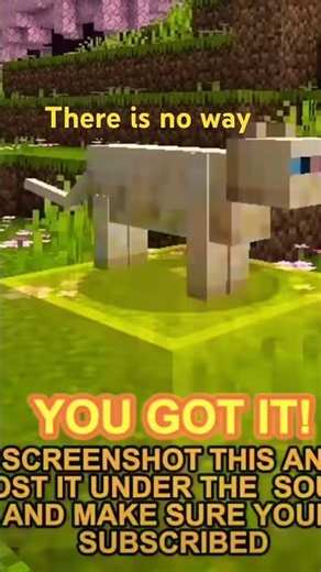 I got yall but there’s no way he’s commenting #Minecraft￼