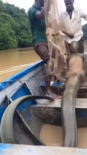 1.7M views · 17K reactions | Epsilon Files on Reels | Facebook