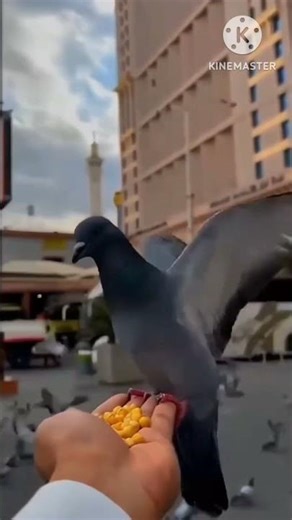 #love #786 #islamicstoriesinurduandhindi #islamicmusic#🙌🌃🕋😭🤲👳#786