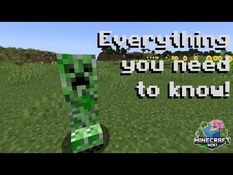 Creeper - Everything you need to know!