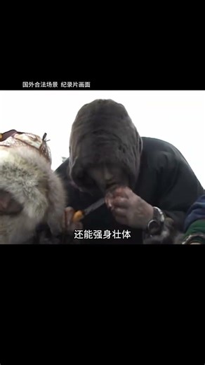 Unbelievable! The Chukchi are even tougher than the Inuit! Their life secrets will leave you in a...