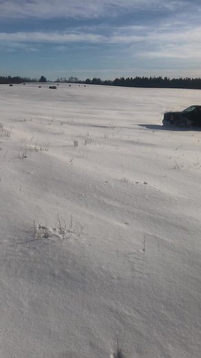 Dolphintale (@dolphintale1980)’s videos with Red Line - Geordie Kieffer