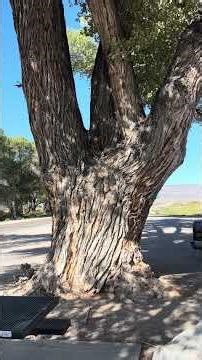 Extraterrestrial Highway Sign