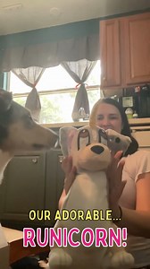 10K views · 658 reactions | This Runicorn plushie is based off of a children’s book Shannon self-published called Rune Myth’s Adventures: A Tale of a Tail. The inspiration for the story came from her actual dog Rune, who has a very uniquely shaped nub tail!  : Rune Myth’s Adventures Children's Books | Budsies | Facebook