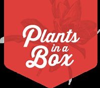 Our Plant Mail Shipping & Guarantee | Plants in a Box
