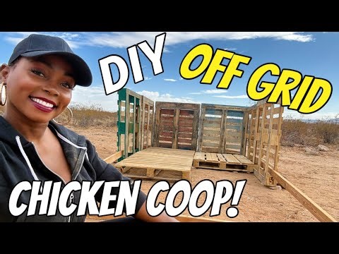DIY OFF GRID CHICKEN COOP! WE’RE GETTING CHICKENS ON OUR 50 ACRE HOMESTEAD!🐣🥚