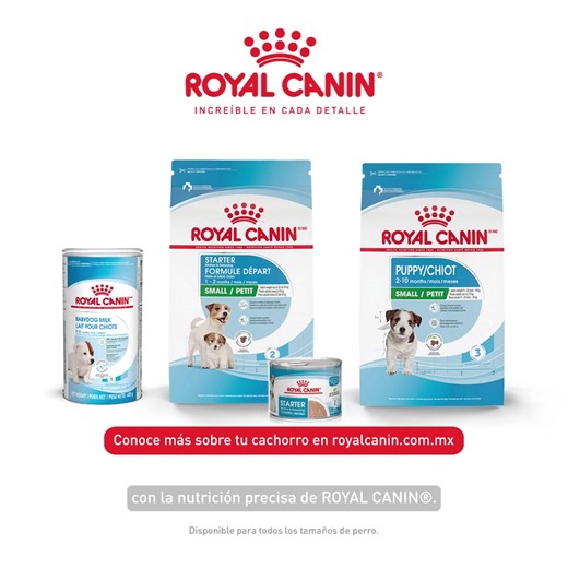 En cada etapa de crecimiento, los cachorros necesitan una nutrición precisa y adaptada a sus necesidades desde los primeros días hasta la edad adulta. | Royal Canin