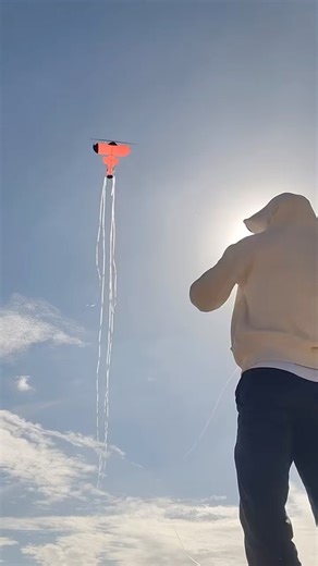 #kiteo #automobile #shortvideo #kite #militaryeverything #army