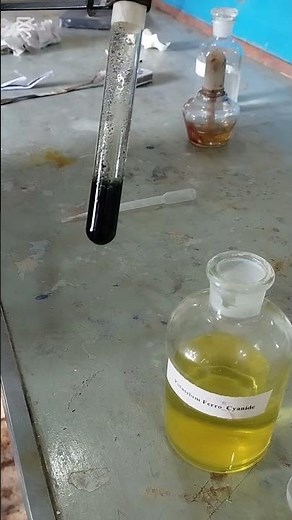 Fe³⁺ Confirmatory Test | Potassium Ferrocyanide Test #chemistry #science