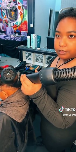 RevAir Reverse-Air Dryer: Fast & Healthy Hair Drying