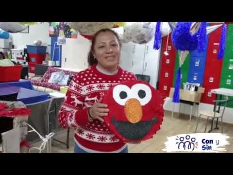 Tutorial de Piñata de Cartón El Arca de México