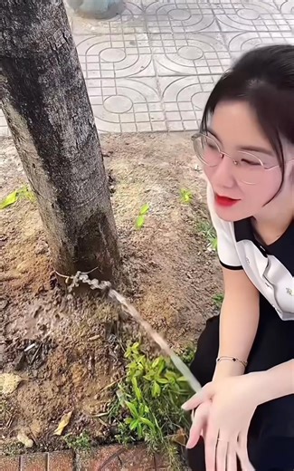 KLion Fitness on Reels