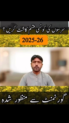 Beat rapseed or sarson varieties for 2025-26 cultivation #rapseed #canola | Plant Clinics