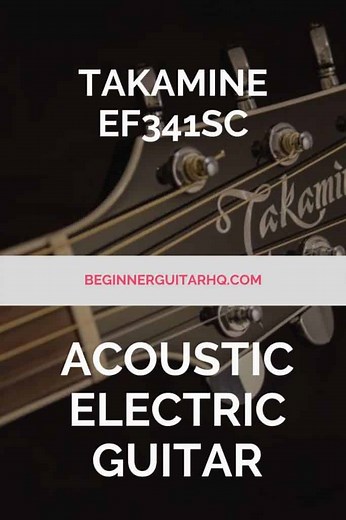 Takamine EF341SC Review