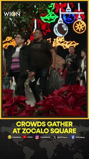 Mexico City Lights Up for Christmas | WION Shorts