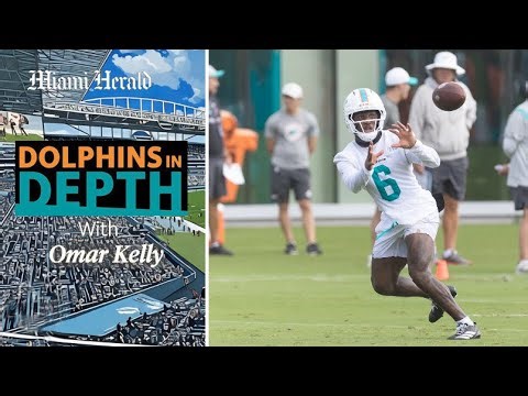 Dolphins in Depth: Which young Dolphins receiver is capable of more?