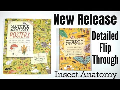 Insect Anatomy & Nature Anatomy Book Review