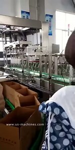 Automatic wine bottle grapping robot hand cartoning encasing machine